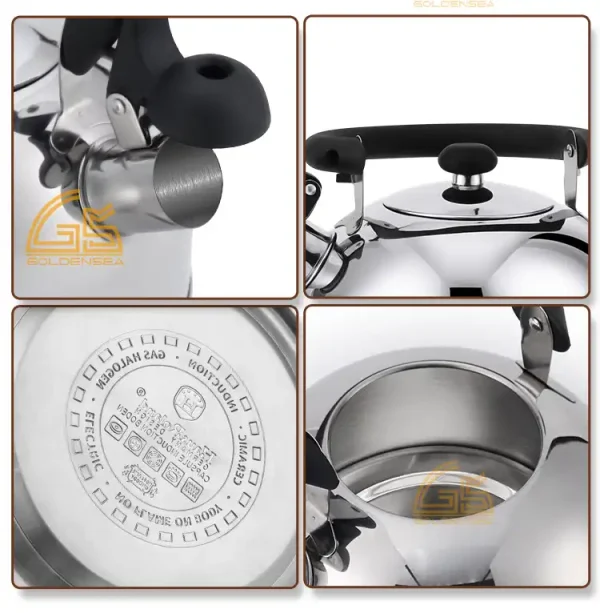 GS-04008A-describe1