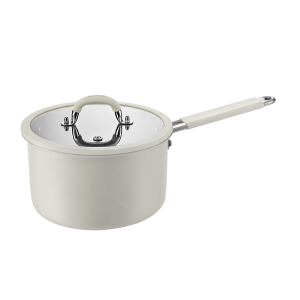 GS-01652 saucepan with lid isolated view